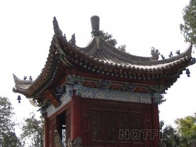 img018.jpg