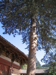 IMG_0072.jpg